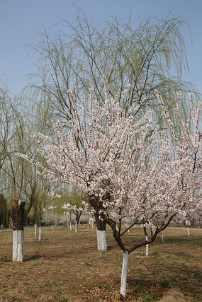 ��ӣ����