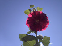 �����¿���