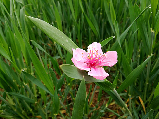 �һ�������