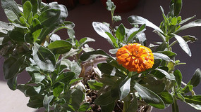 һ���յ��ͼƬ