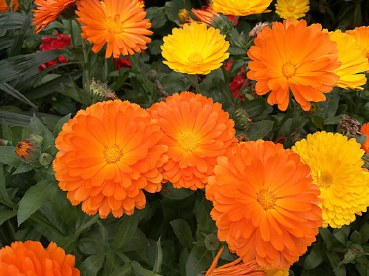 ��յ����յ��