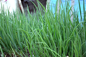 �������̵�С��