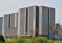 �Ͼ��߿ƴ�¥