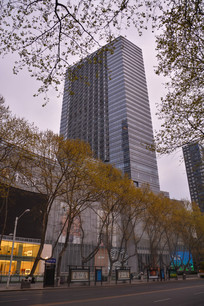 �Ͼ���ï�����