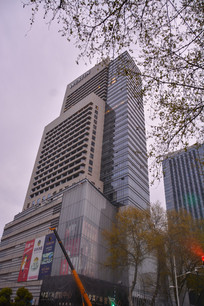 �Ͼ�άɭ����