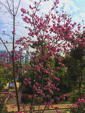 ʢ�����һ���