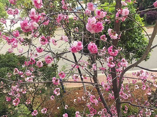 ʢ�����һ�֦��