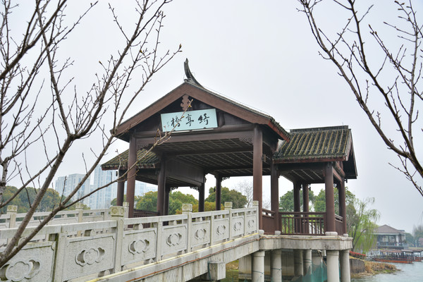 ʯ����԰�ͤ��