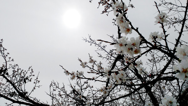 ̫���µ�����ͼƬ