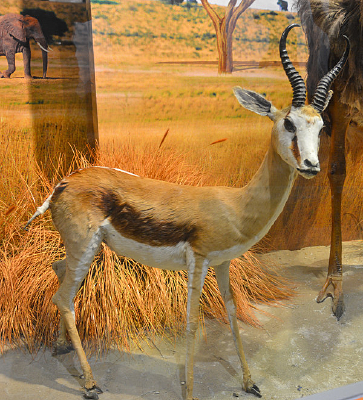 �걾������