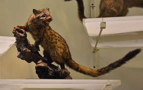 �걾Ҭ����