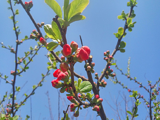 ������ϢͼƬ