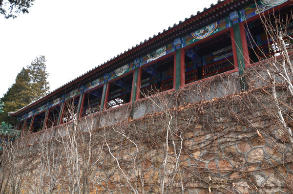 ��ʽ����