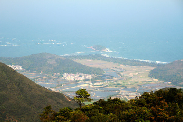 ɽ�����