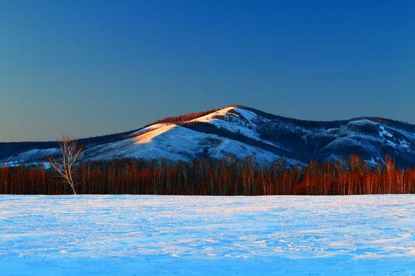 ѩҰɽ�־���