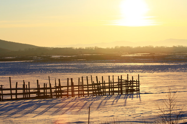 ѩԭľդ��Ϧ������