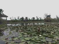 ���ʪ�س������