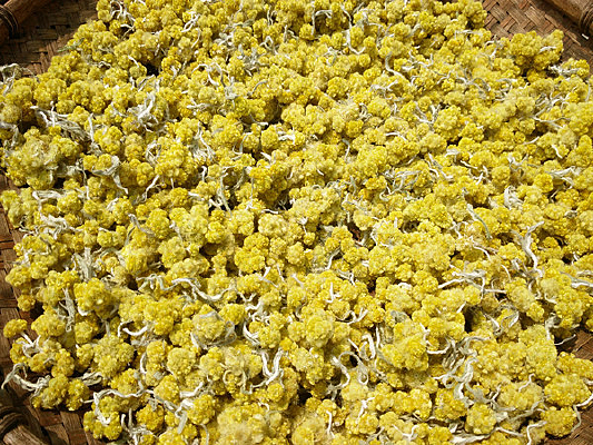 ��ʳ�õĻ�ɫ��