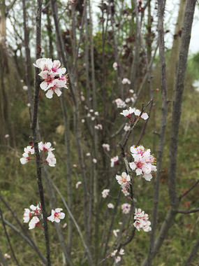 ʢ�����һ�