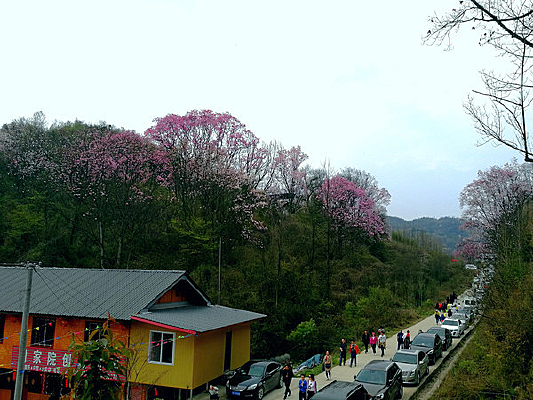 ��Һ�ɽ·��