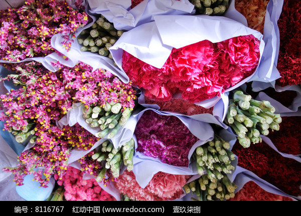 中国鲜花(中国鲜花基地在哪里)