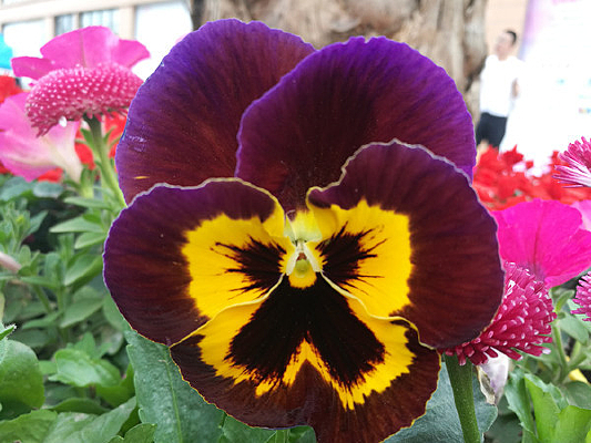 ����������