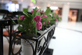 ��ɫ��������