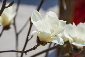 ��ɫ��������