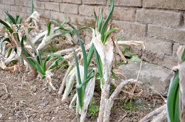 ��ѿ���ϴ�