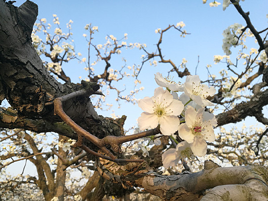 �滨��ɫ������д���