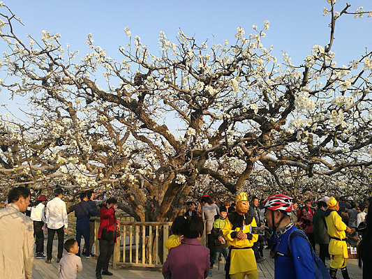 �滨����������