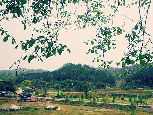 ��ɫ�����С��