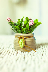 һ����ɫ������