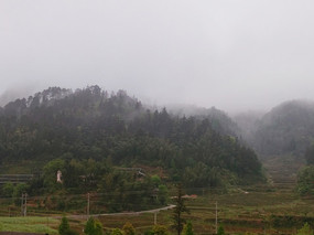 �糿�����С��