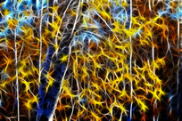 ���Գ��󻭡���ɫ��Ҷ�ӡ�