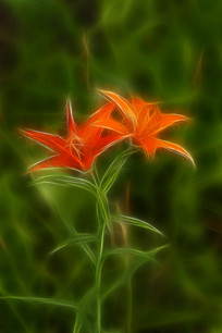 ���Ի����ٺϻ���