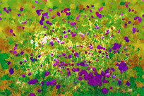 ���Ի�����Ӱ��