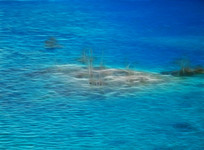 ���Ի�������С����