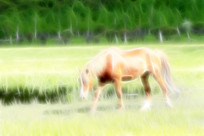 ���Ի����ɹ�����