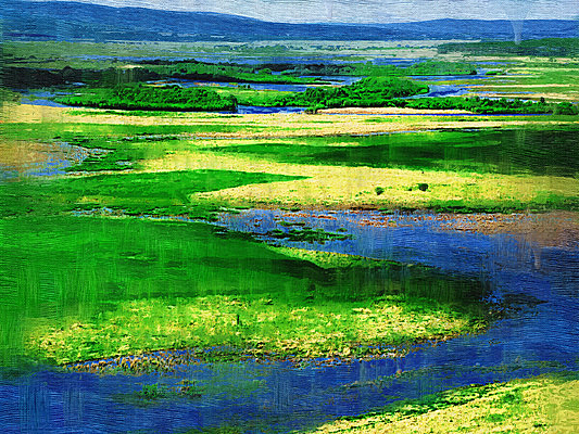 ���Ի���ʪ�غ�����