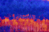 ���Ի� ��Ϧ�����֡�