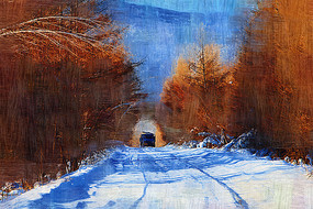 �����ͻ���ɭ��ѩ·��