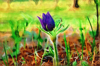 �����ͻ���ɽ����