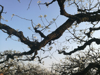 ���ɿ���