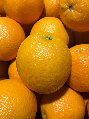 һ�����ʵĳ���