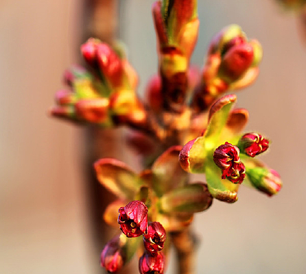 ӭ������