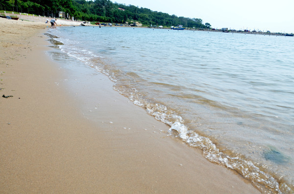 �����ӻƾ�����