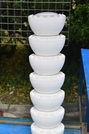 ���ӵİ�ɫ��