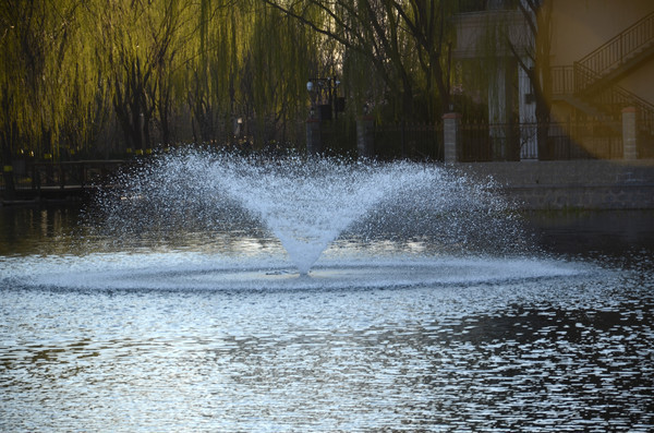 ������Ȫ