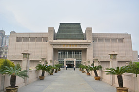 ���ݲ����